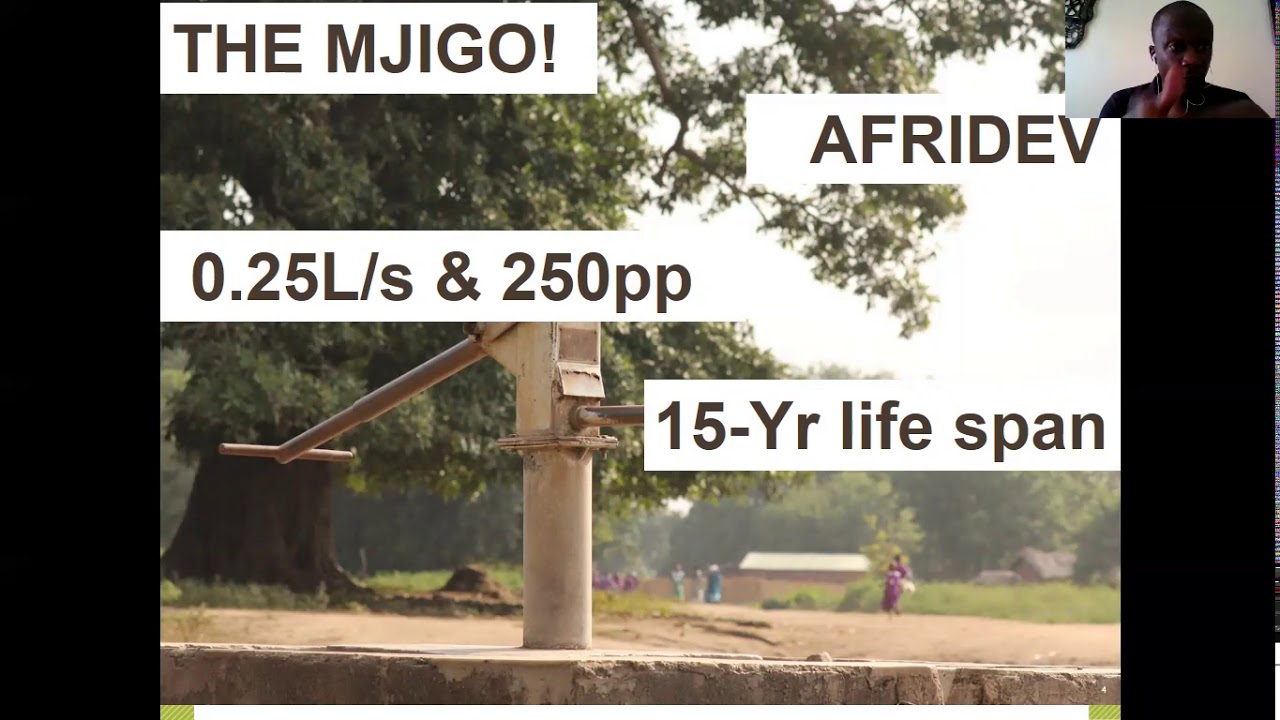 malawi institute of management e