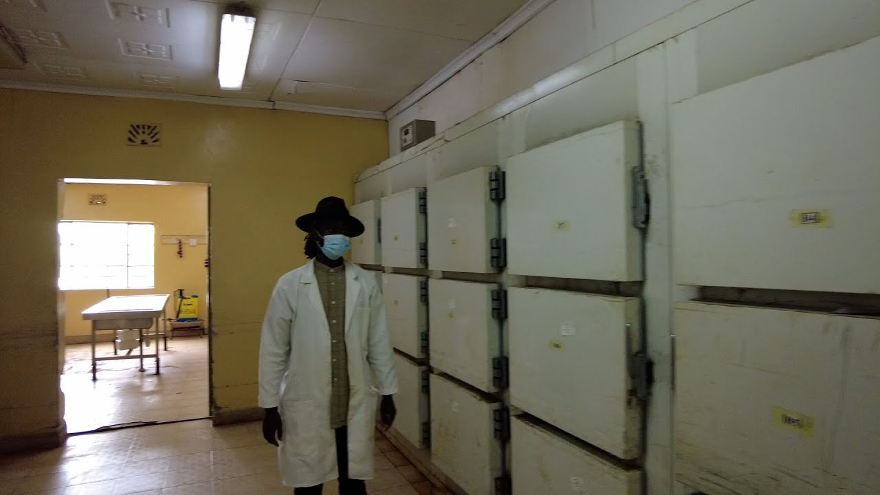 limbe leaf malawi job vacancies