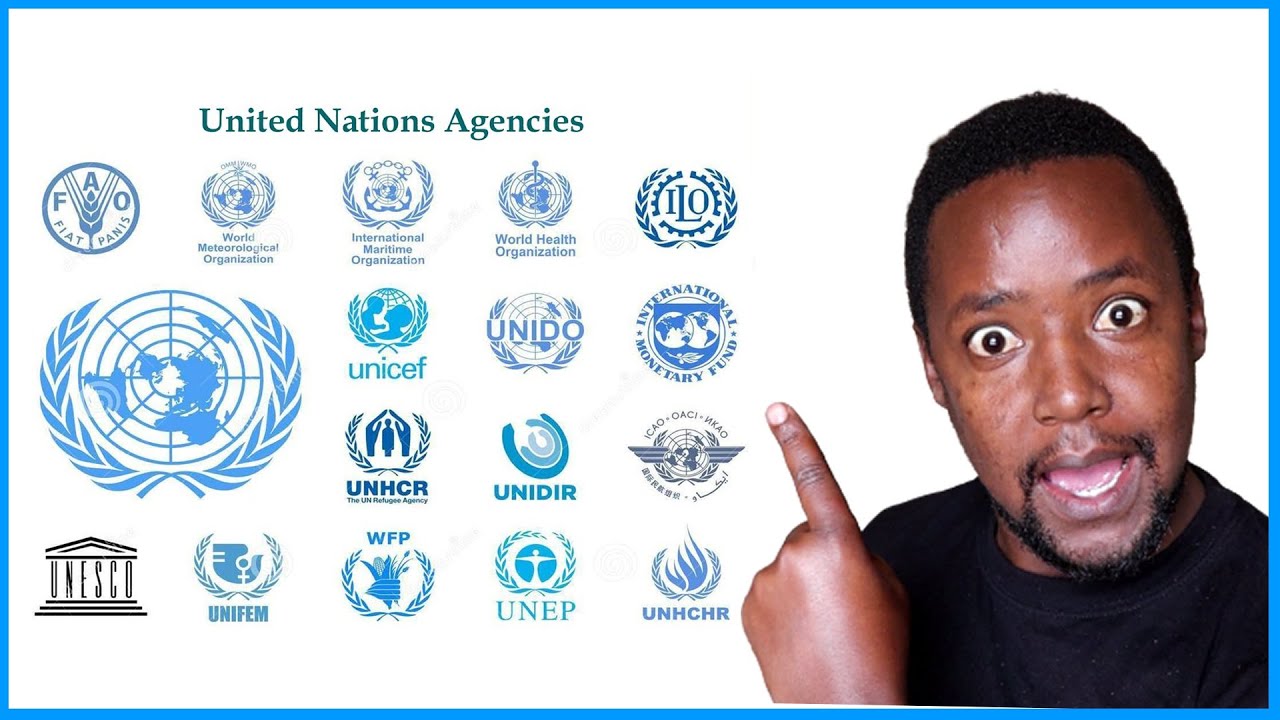 malawi job vacancies latest upda